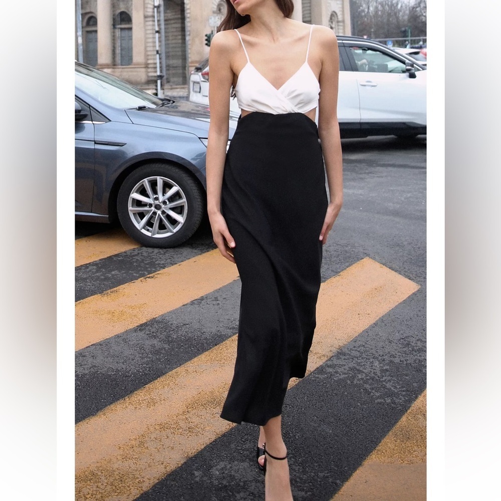 Zara Cut Out Midi Dress
